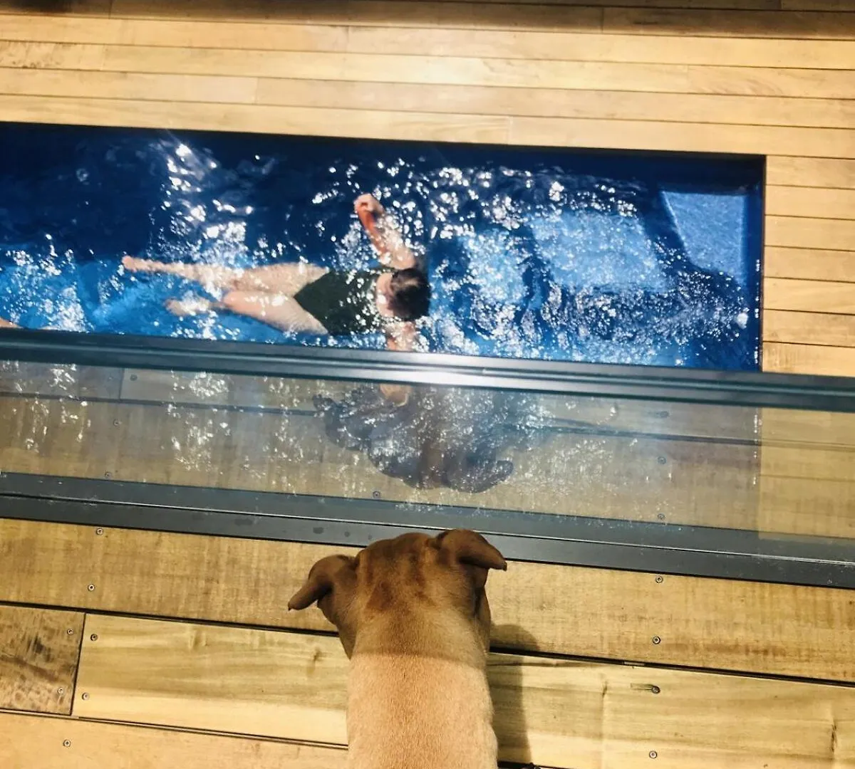 Luxury Papamoa Beach House With Pool And Spa Pet Friendly